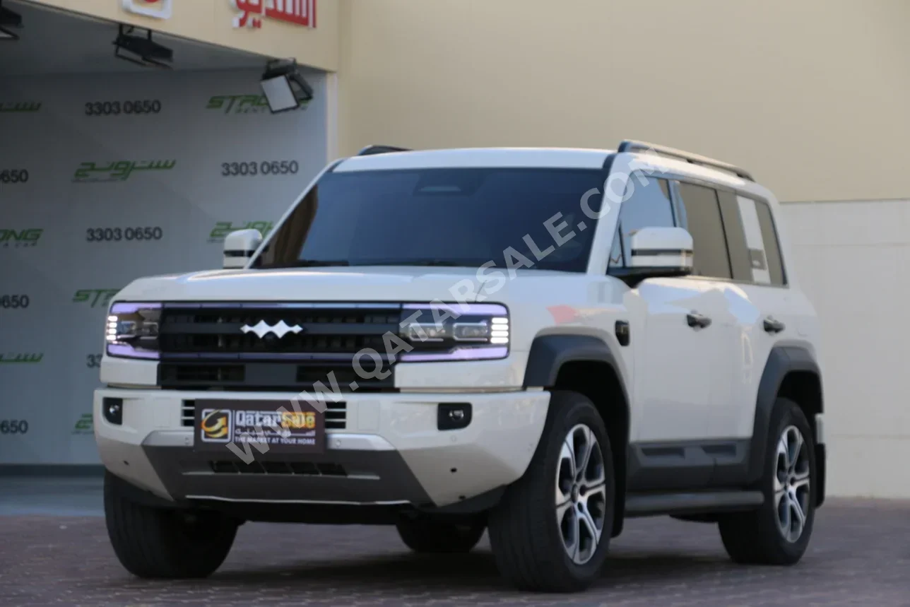 بي واي دي  ليوبيرد 5  لونغ رينج  2025  اوتوماتيك  8,300 كم  4 سلندر  دفع رباعي  اس يو في  أبيض  تحت الضمان