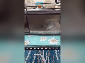 Kids Beds - Bunk Bed  - IKEA  - Gray