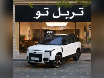 روكس موتور  جيشي  01 في اي بي  2025  اوتوماتيك  24,500 كم  4 سلندر  دفع كلي مستمر  اس يو في  أبيض  تحت الضمان