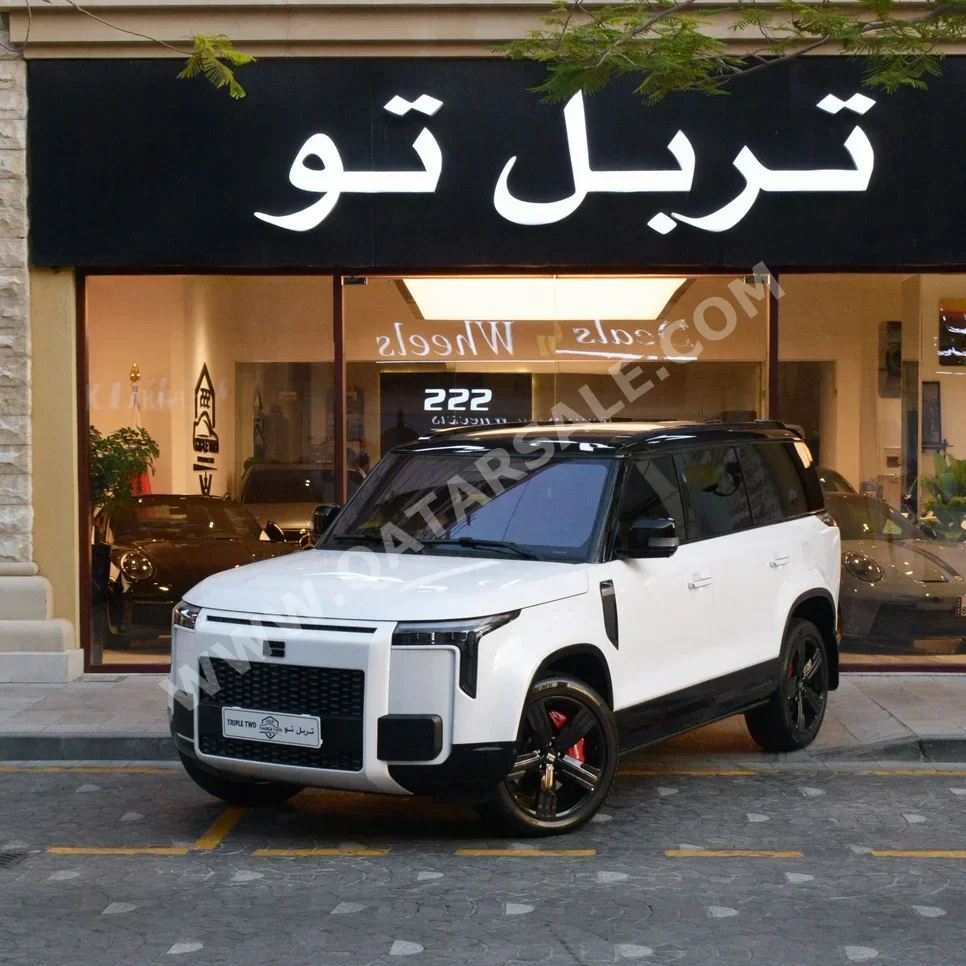 روكس موتور  جيشي  01 في اي بي  2025  اوتوماتيك  24,500 كم  4 سلندر  دفع كلي مستمر  اس يو في  أبيض  تحت الضمان