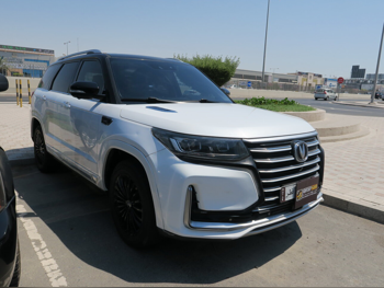 تشانجان  سي اس  95  2022  اوتوماتيك  120,000 كم  4 سلندر  دفع رباعي  اس يو في  أبيض  تحت الضمان