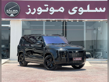 روكس موتور  جيشي  01 في اي بي  2025  اوتوماتيك  25,000 كم  4 سلندر  دفع رباعي  اس يو في  أسود  تحت الضمان