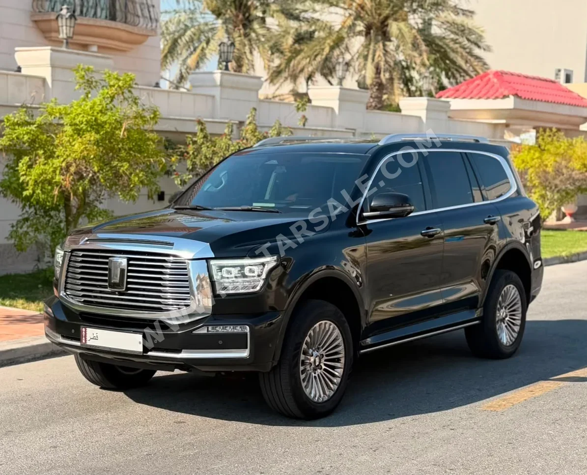 جي دبليو ام  تانك  500  2025  اوتوماتيك  62,000 كم  4 سلندر  دفع رباعي  اس يو في  أسود  تحت الضمان