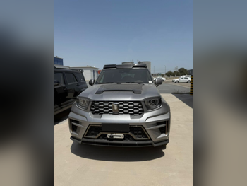 جي دبليو ام  تانك  700  2025  اوتوماتيك  0 كم  6 سلندر  دفع رباعي  اس يو في  رمادي