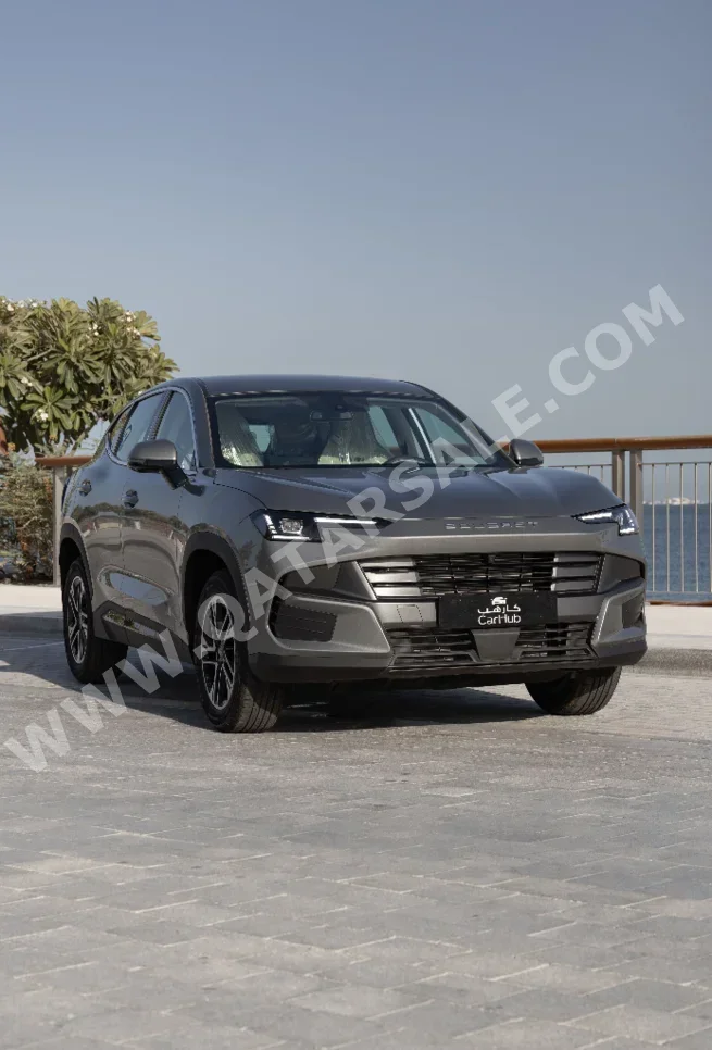 Soueast  S06  Convertible  Grey  2026