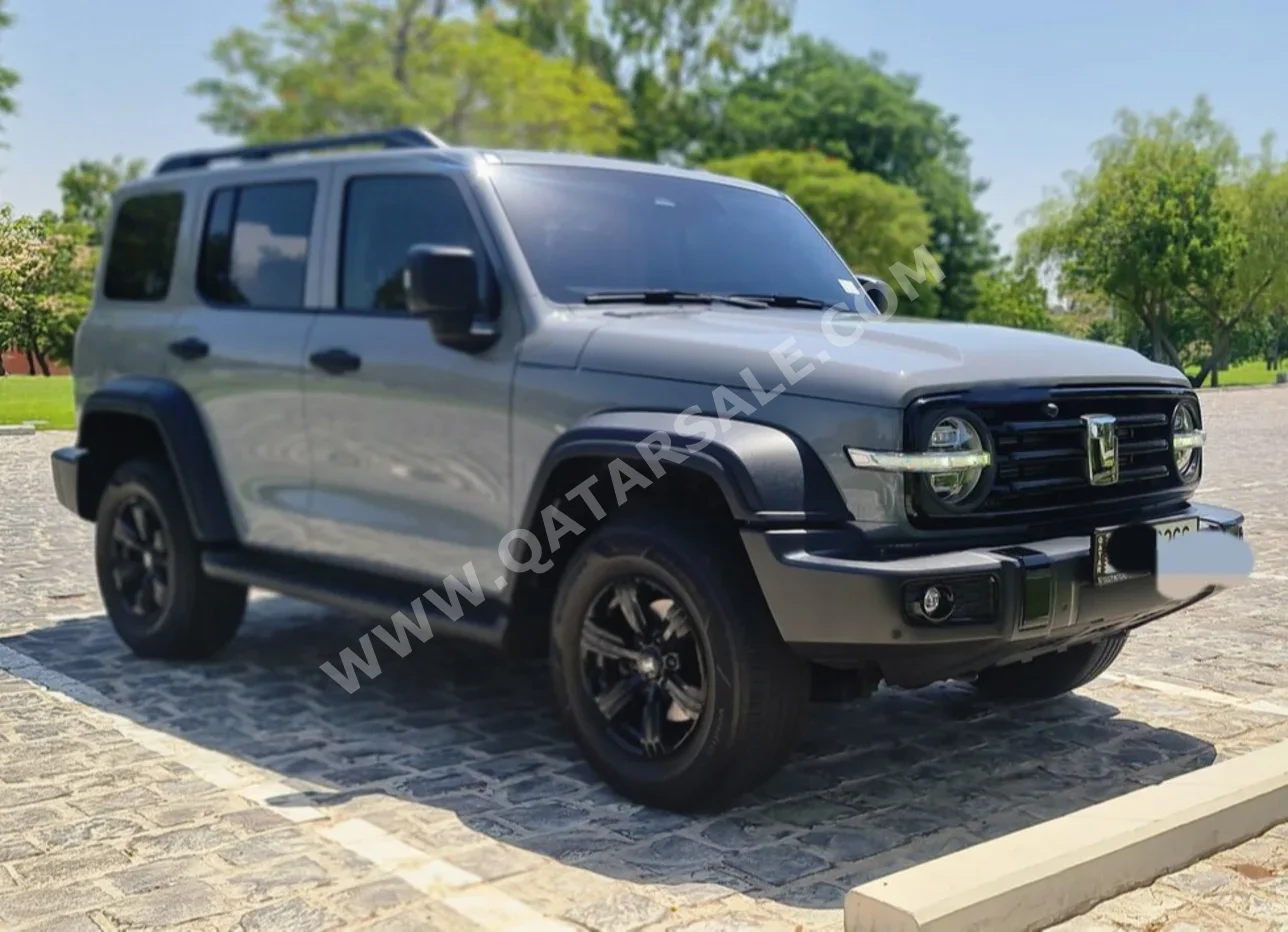 جي دبليو ام تانك 300 2025 اوتوماتيك 24,800 كم 4 سلندر دفع رباعي اس يو في رمادي ميتالك تحت الضمان