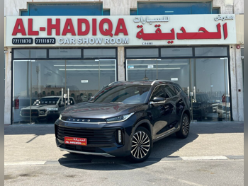 إكسيد  تي اكس ال  2023  اوتوماتيك  121,000 كم  4 سلندر  سحب امامي  اس يو في  أسود