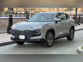 جيتور  داشينغ  4 سلندر  إس يو في 4 في 4  رمادي  2026