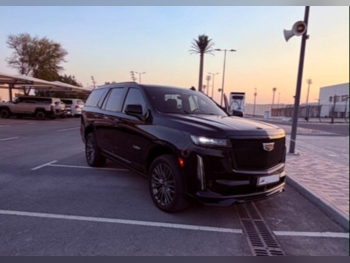 Cadillac Escalade V Supercharged 2023 Automatic 50,000 Km 8 Cylinder Four Wheel Drive (4WD) SUV Black With Warranty