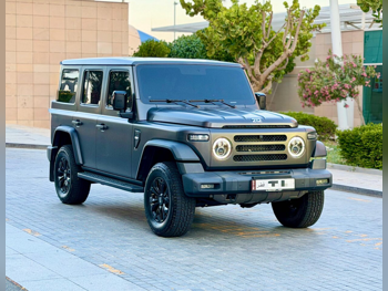 BAW 212 T01 2026 Automatic 11,000 Km 4 Cylinder Four Wheel Drive (4WD) SUV Gray Matte With Warranty