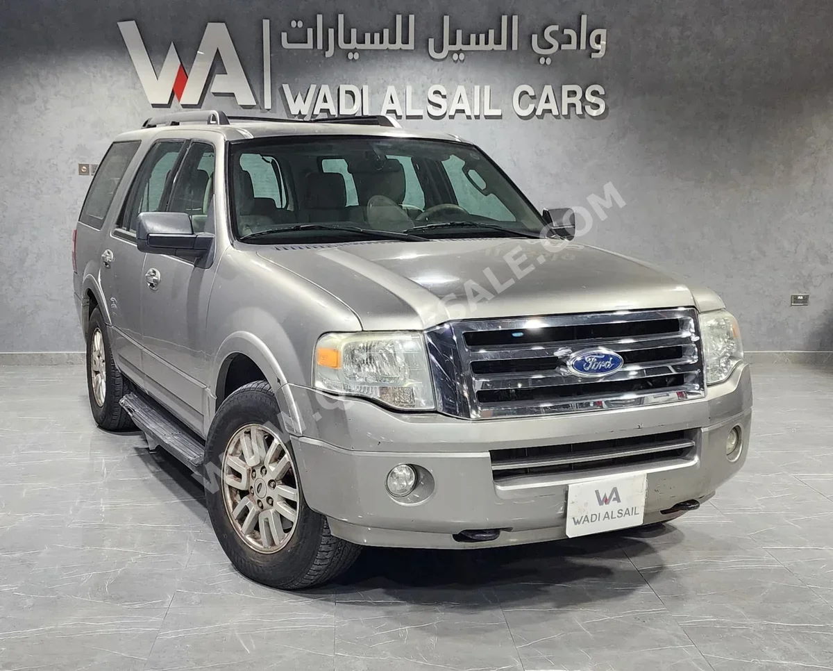Ford  Expedition  2009  Automatic  129,000 Km  8 Cylinder  Four Wheel Drive (4WD)  SUV  Silver