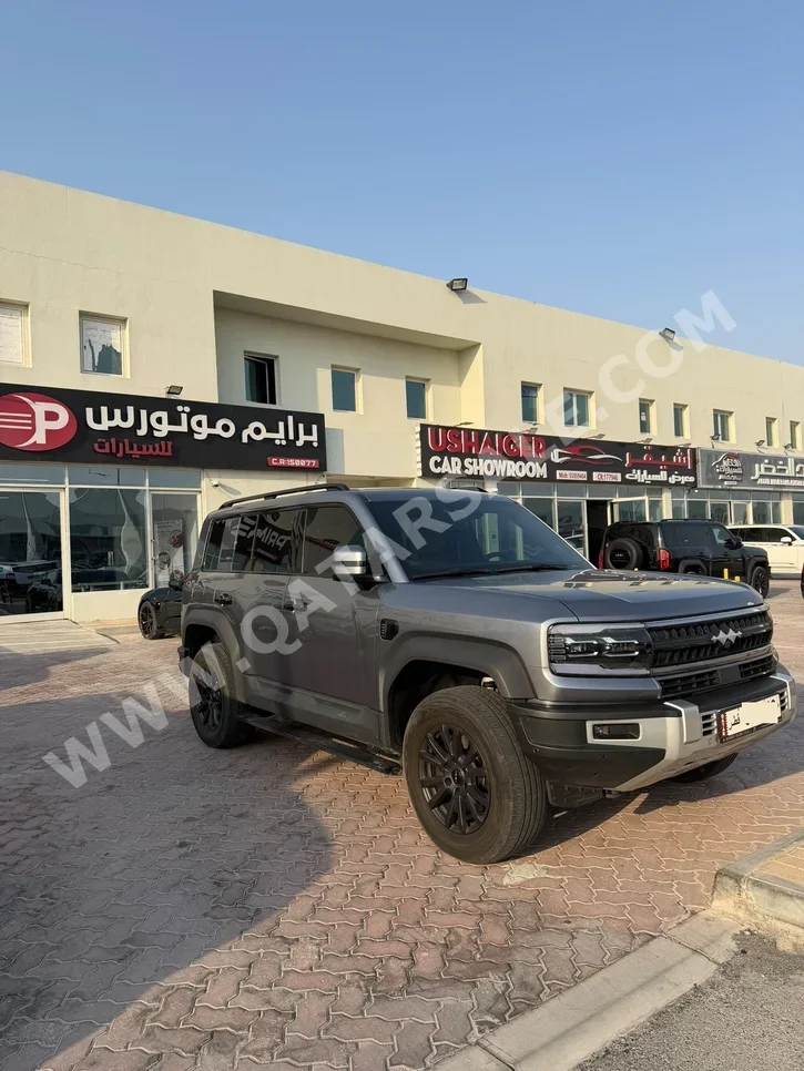 BYD Leopard 5 Navigator 2024 Automatic 48,000 Km 4 Cylinder Four Wheel Drive (4WD) SUV Gray With Warranty