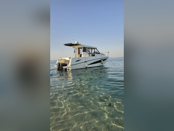 كويك سلفر  2018  أبيض  28 قدم