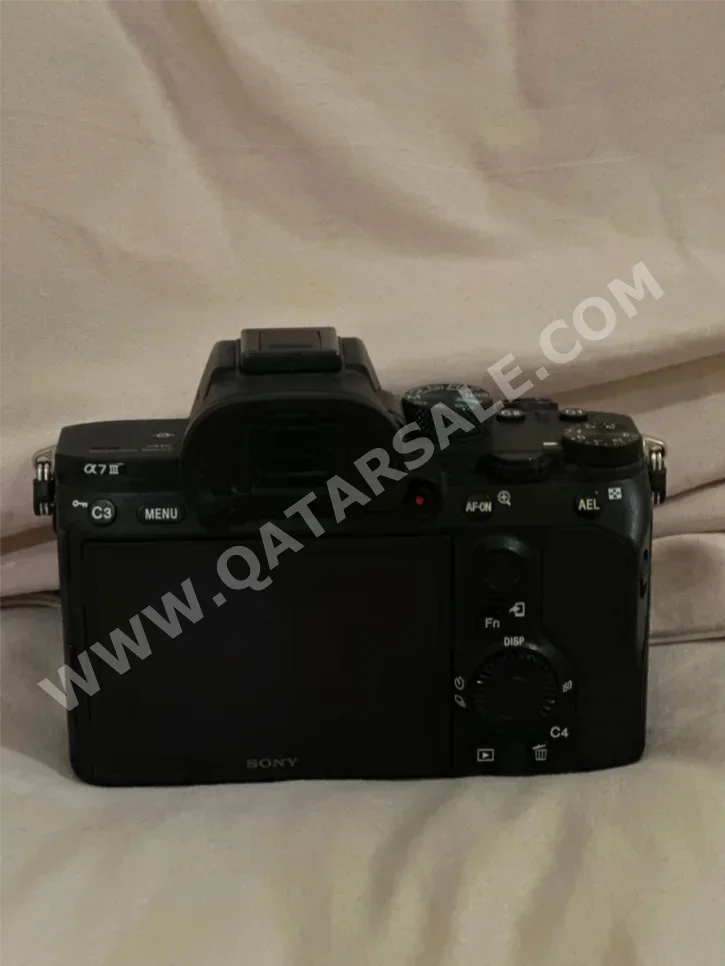 Digital Cameras Sony - 24 MP - UHD 4K 30 hz