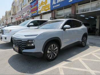 Jetour Dashing 2024 Automatic 69,000 Km 4 Cylinder Four Wheel Drive (4WD) SUV Gray With Warranty