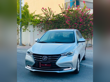 Changan Alsvin 2023 Automatic 160,000 Km 4 Cylinder Front Wheel Drive (FWD) Sedan Silver