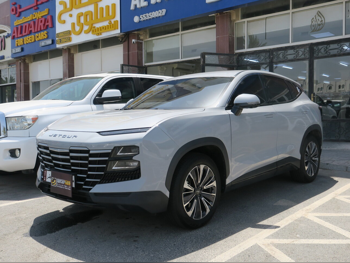 Jetour Dashing 2024 Automatic 69,000 Km 4 Cylinder Front Wheel Drive (FWD) SUV Silver With Warranty