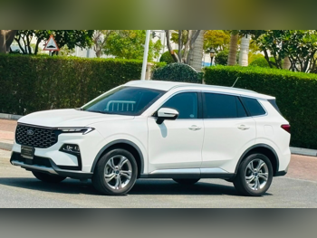 Ford  Territory  2025  Automatic  38,000 Km  4 Cylinder  Front Wheel Drive (FWD)  SUV  White