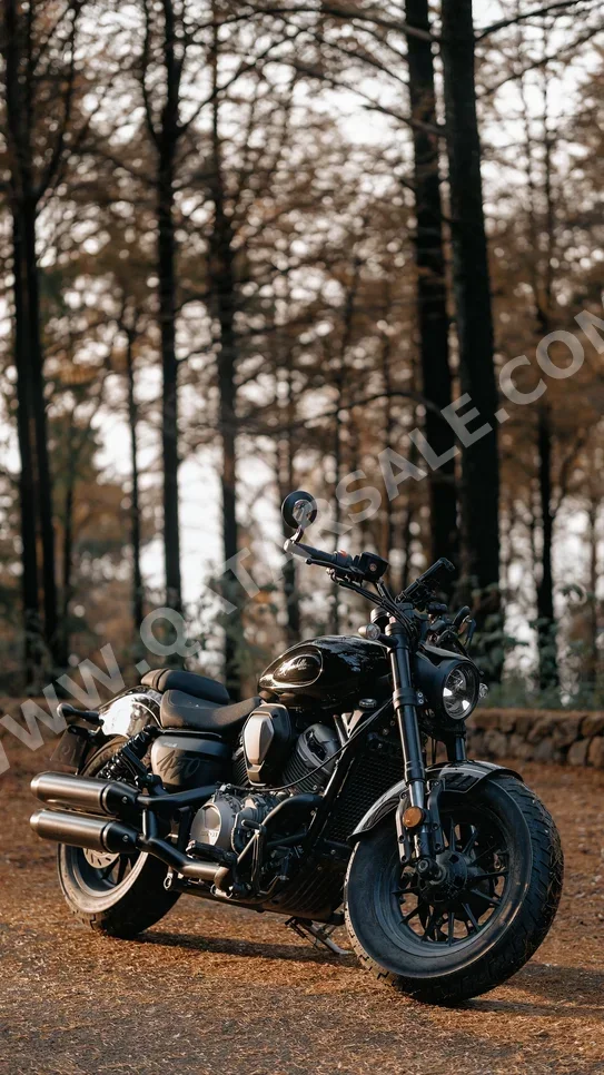 2026 - Color Black -  Warranty
