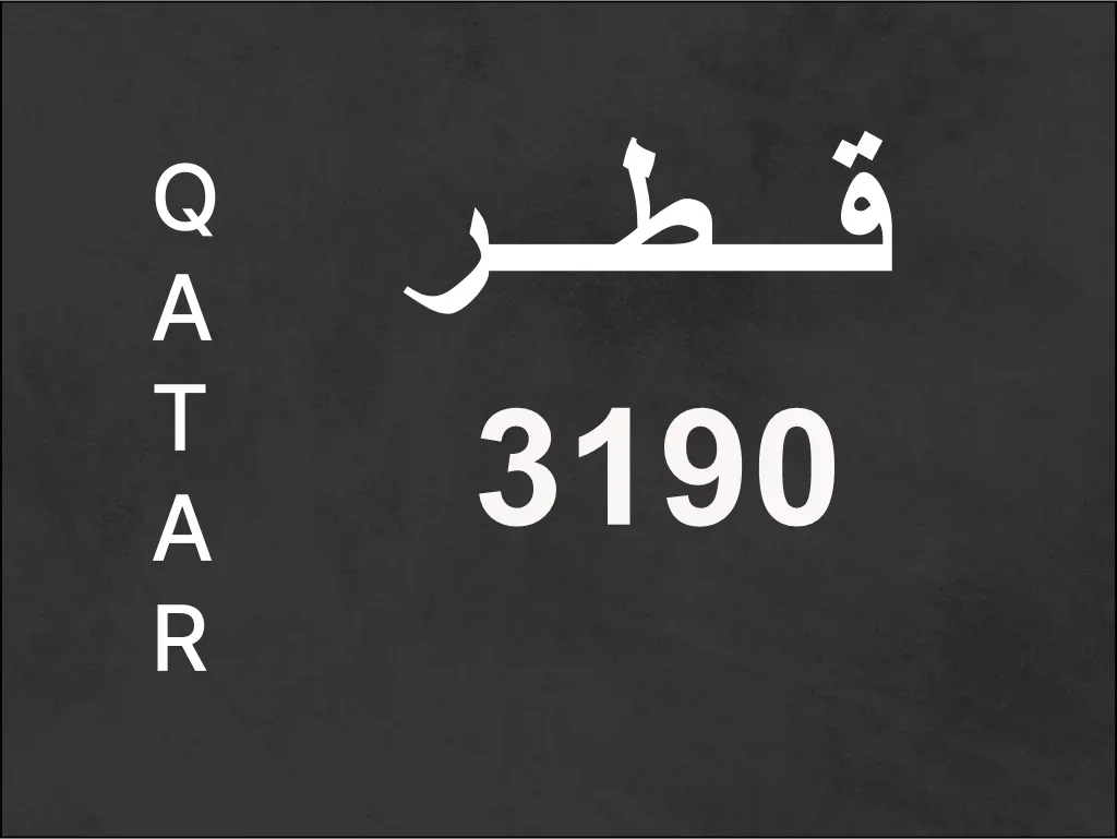 رقم نقل خاص  3190