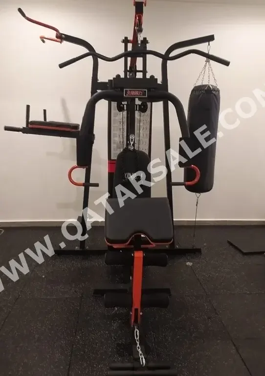 Gym Equipment Machines - Black  - Back Extension