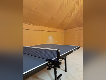 Blue  Tennis (ping pong) Table