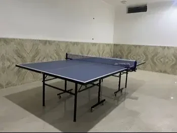 Black and Blue  Tennis (ping pong) Table