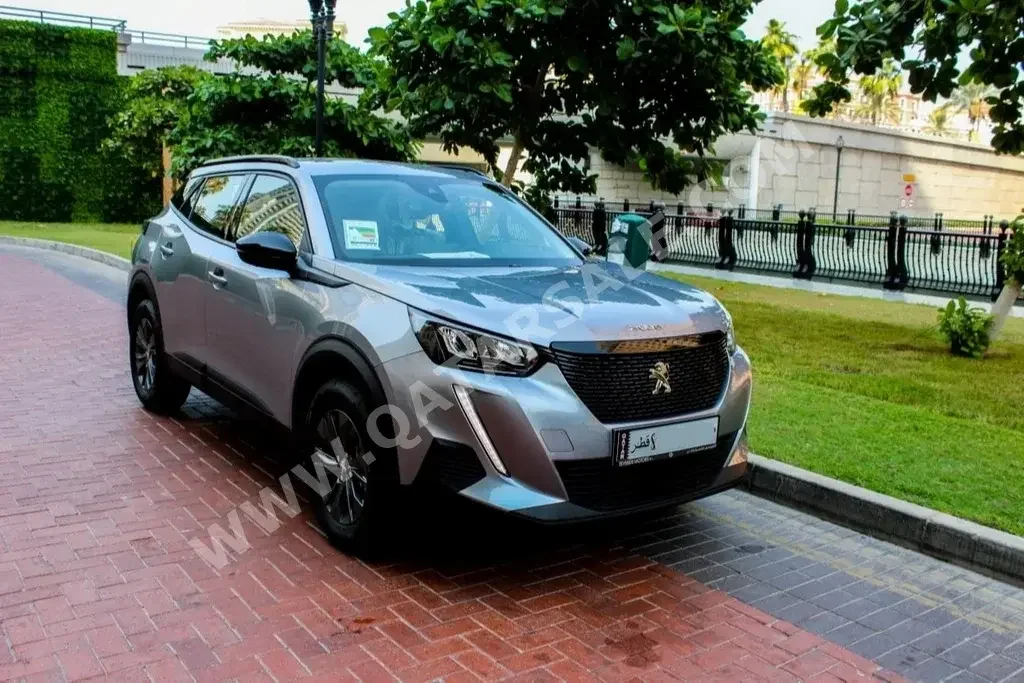 Peugeot  2008  Hatchback  Grey  2023