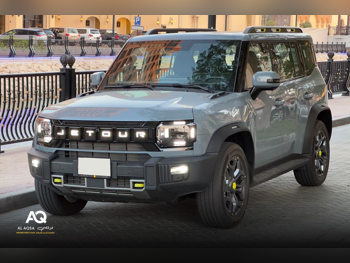 جتور T2 شاسی‌بلند 4x4 خاکستری 2026
