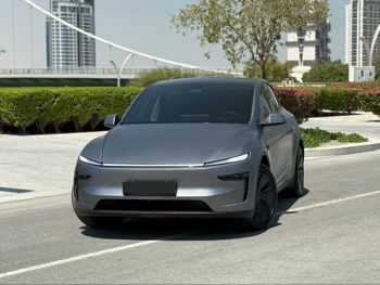 Tesla Model Y Long Range 2025