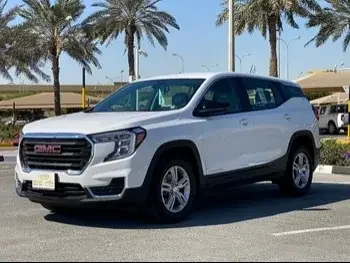 GMC  Terrain  SUV 4x4  White  2022