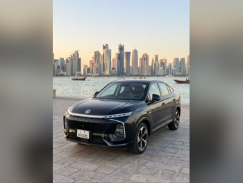 إم جي Whale SUV 2x4 لون أسود موديل 2025