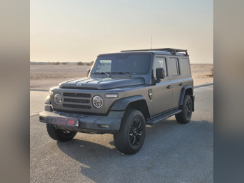 باو (BAW) 212 T01 2025