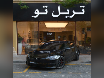 تسلا مدل S پلید 2023