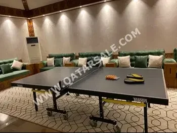 Blue  Tennis (ping pong) Table